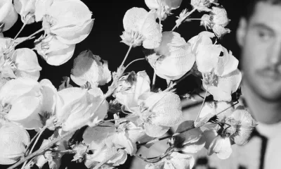 Blue Mar lança “Fallen Leaves” unindo guitarras alternativas e elementos do samba