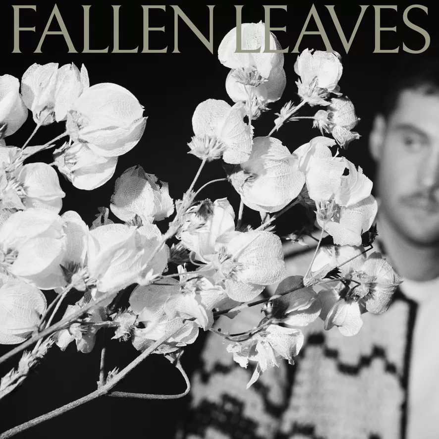 Blue Mar lança “Fallen Leaves” unindo guitarras alternativas e elementos do samba